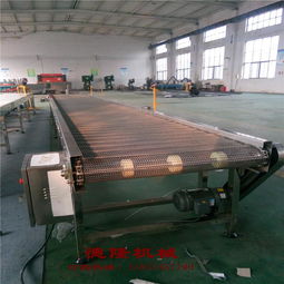 德隆工厂直销 不锈钢网带传送带自动化输送设备，食品专用解决方案